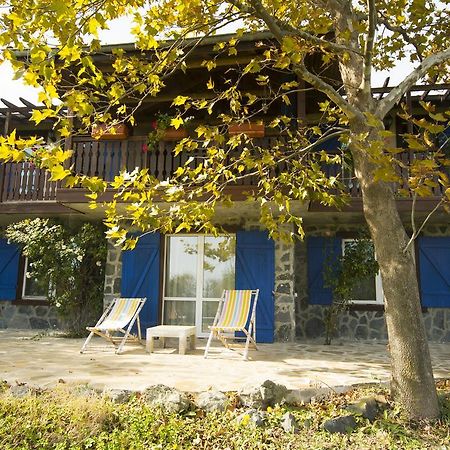 Art Provence House Vila Lozenets Exterior foto